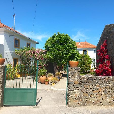 Ferienwohnung O Ninho Do Rei Vila de Rei Exterior foto