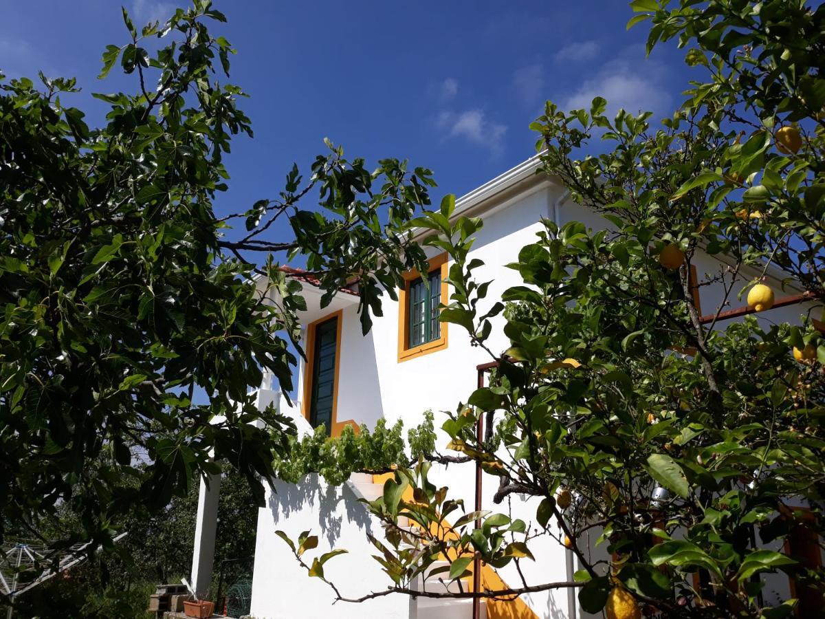 Ferienwohnung O Ninho Do Rei Vila de Rei Exterior foto